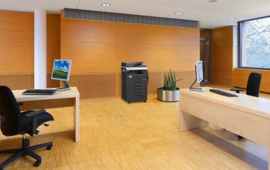 Новий БФП Develop ineo 225i